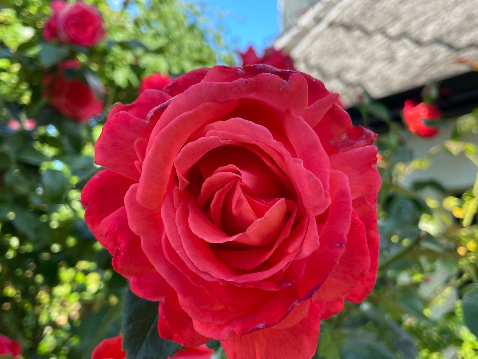 Villa, Trevägen 33-0, Äspö, Trelleborg