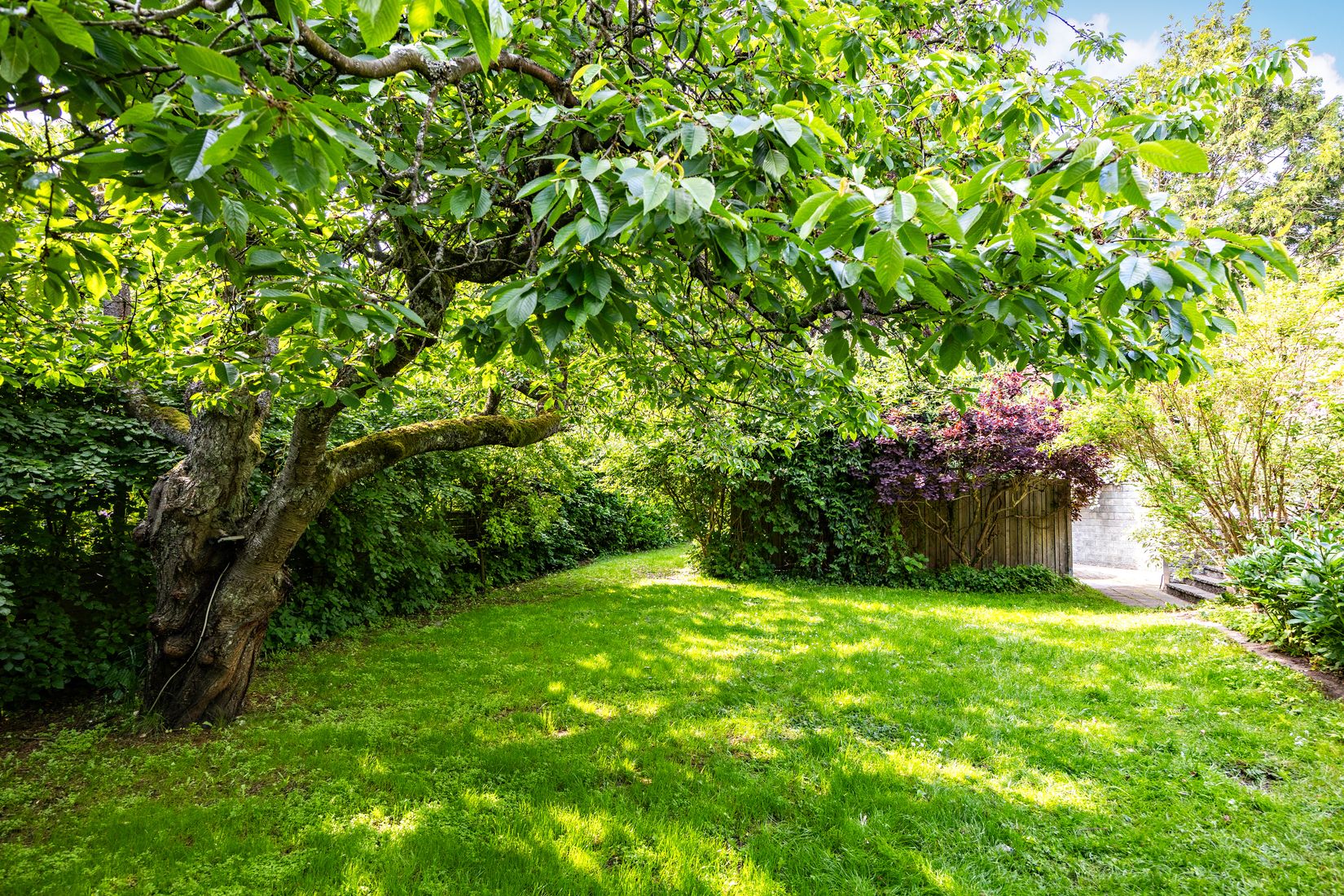 Villa, Tornavägen 40, Professorsstaden, Lund