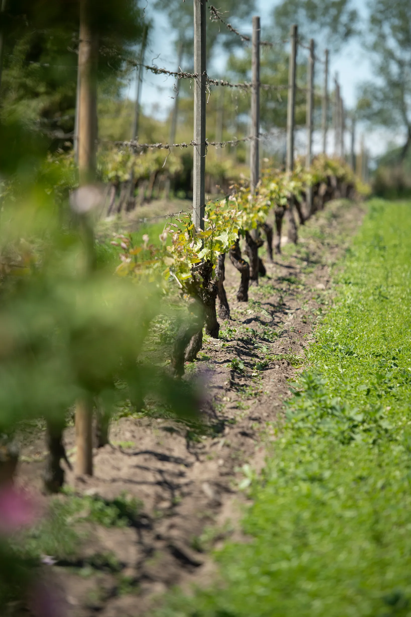 Villa, Hävdavägen 62, Örnahusen, Simrishamn