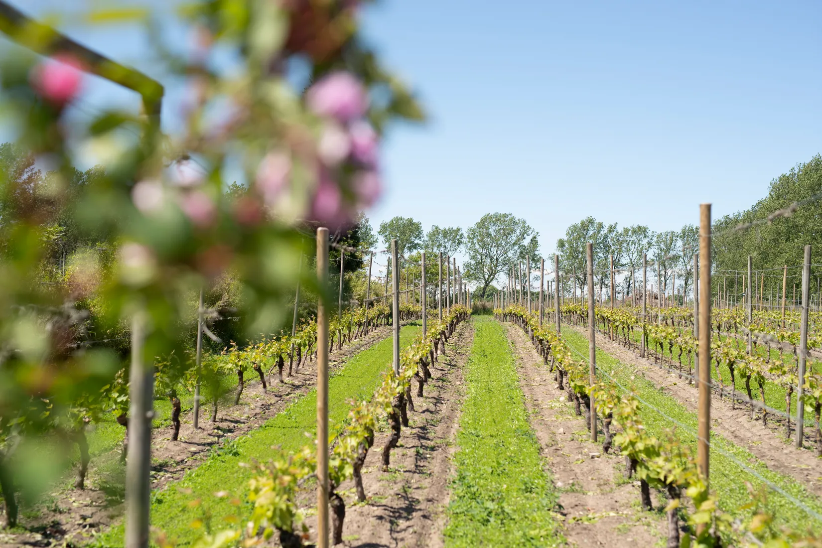 Villa, Hävdavägen 62, Örnahusen, Simrishamn