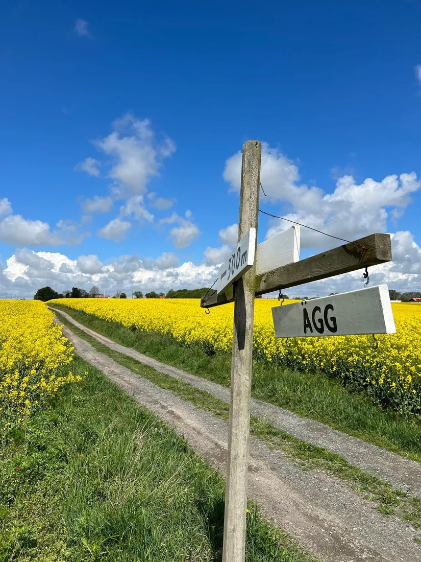 Villa, Hävdavägen 62, Örnahusen, Simrishamn