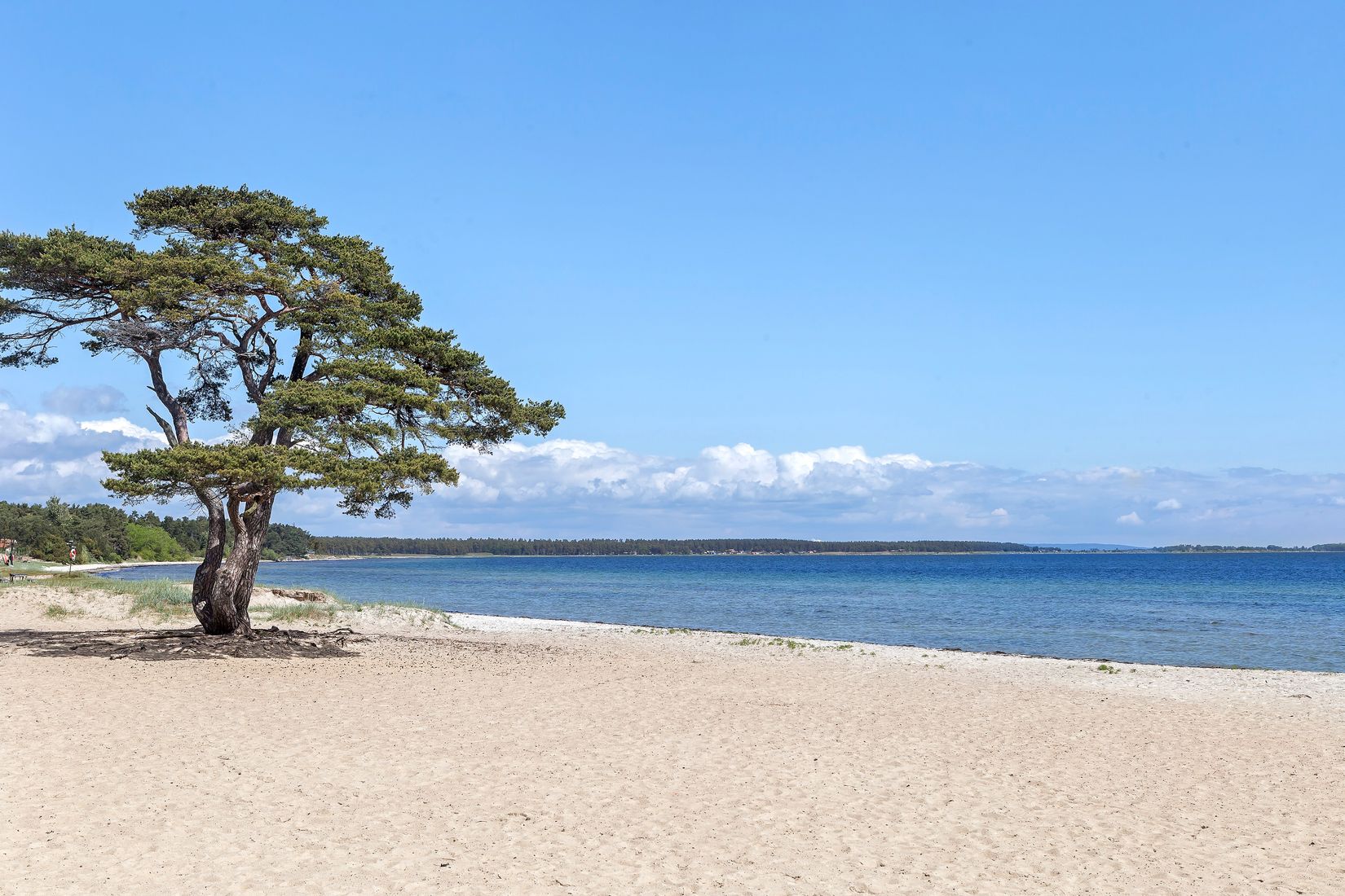 Bostadsrätt, Radhus, Sjögatan 46D, Åhus, Kristianstad