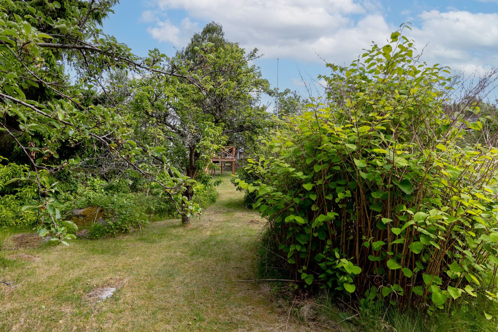 Villa, Strandvägen 44, Kolberga, Oskarshamn