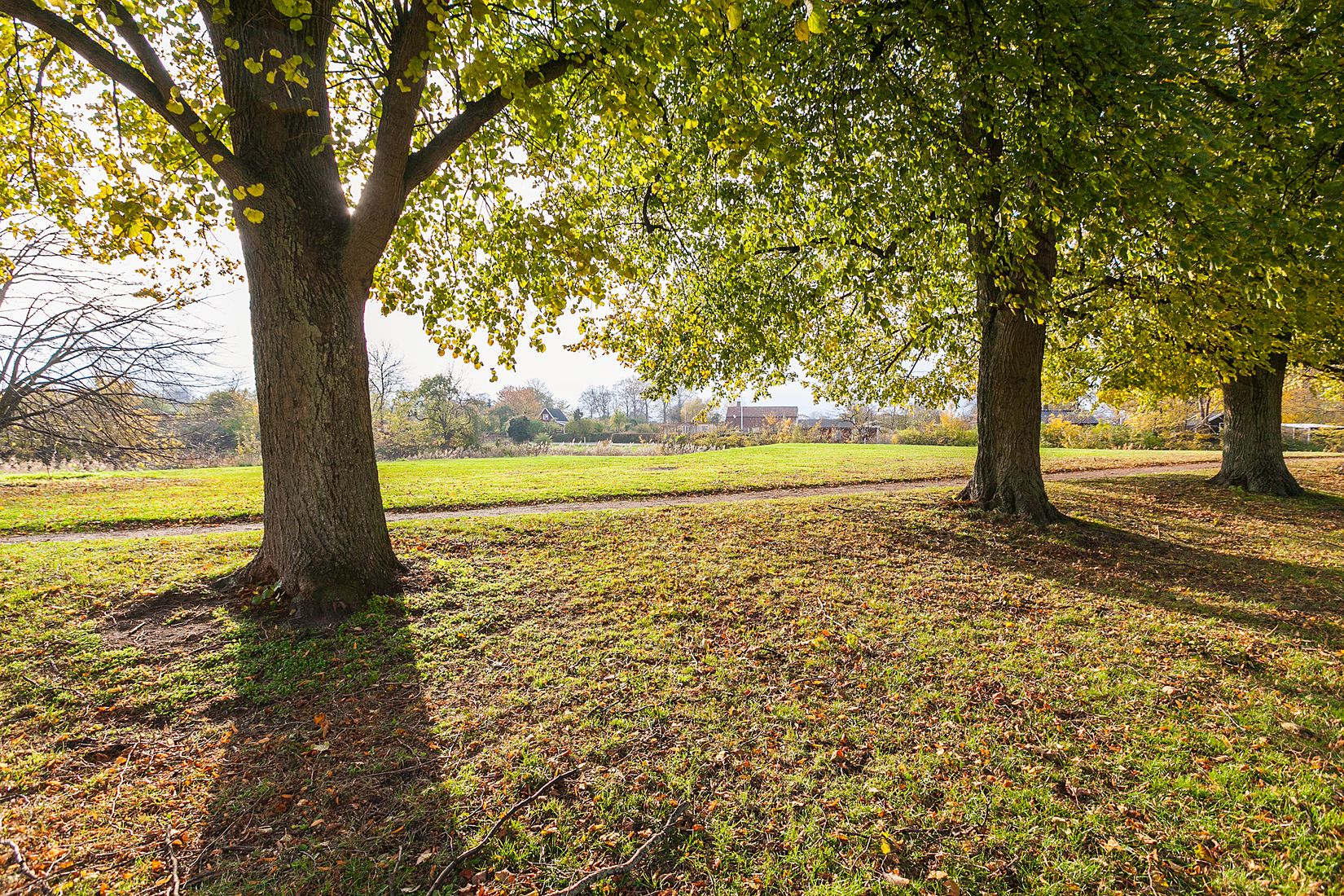 Bostadsrätt, Timmermansgatan 10, Väster, Landskrona