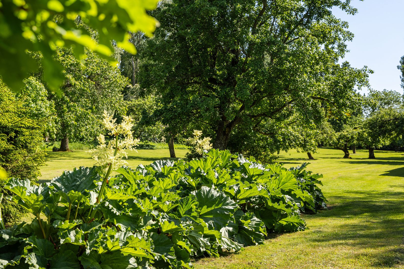Villa, Kristberg Prästgården 401, Borensberg, Motala