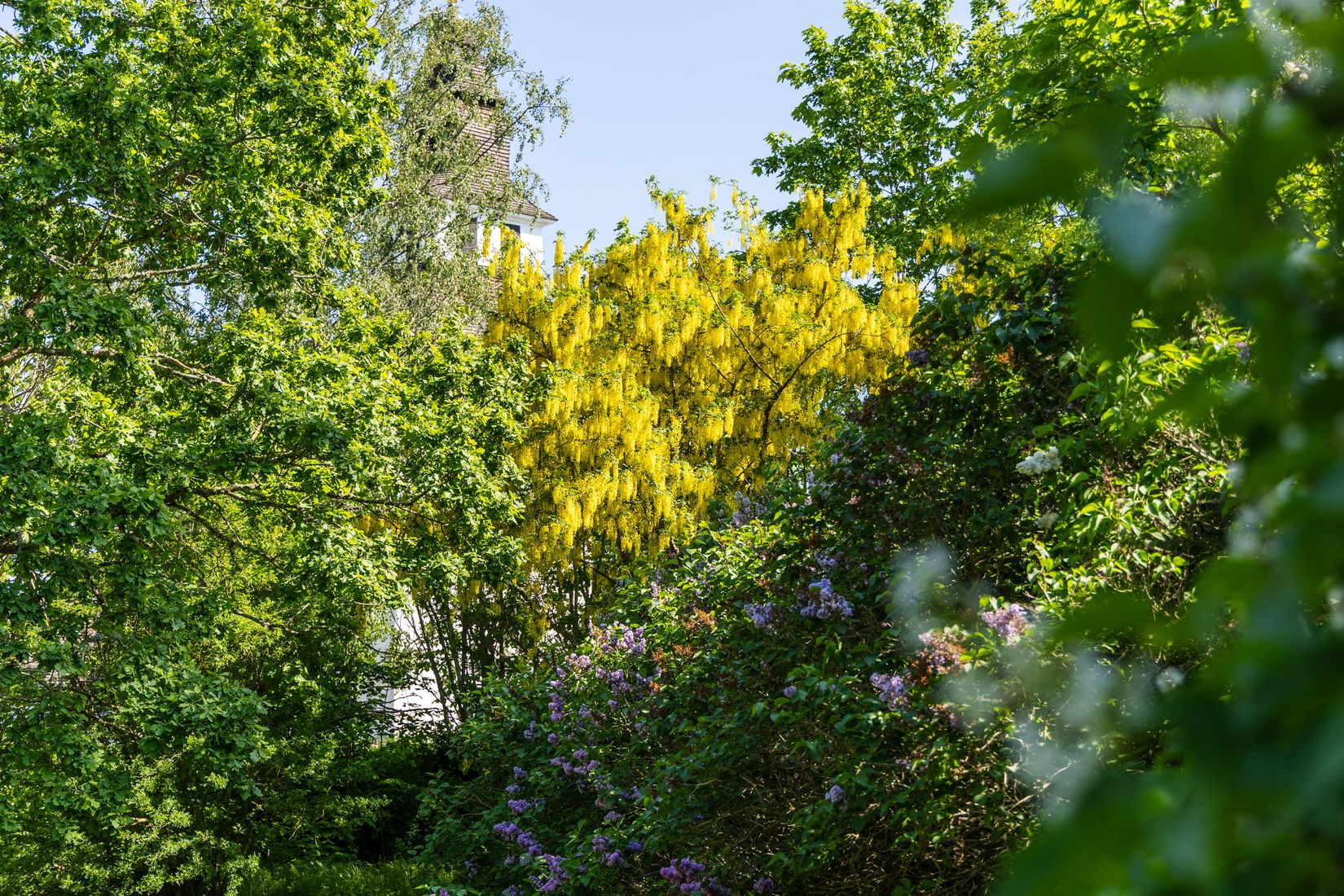Villa, Kristberg Prästgården 401, Borensberg, Motala