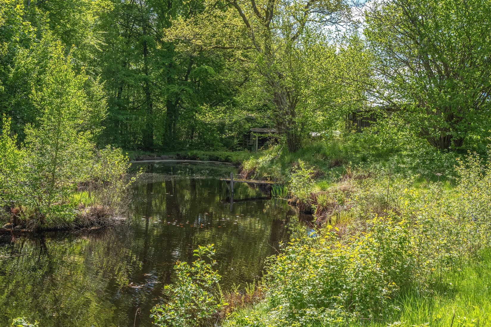 Villa, Övre Västersjövägen 346A, Västersjön, Ängelholm
