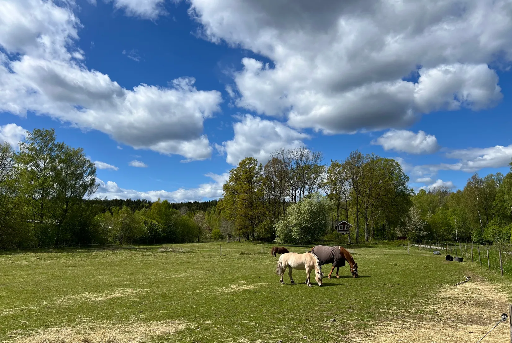 Gård/Skog, Västra Svedernavägen 3, Gräfsnäs, Alingsås