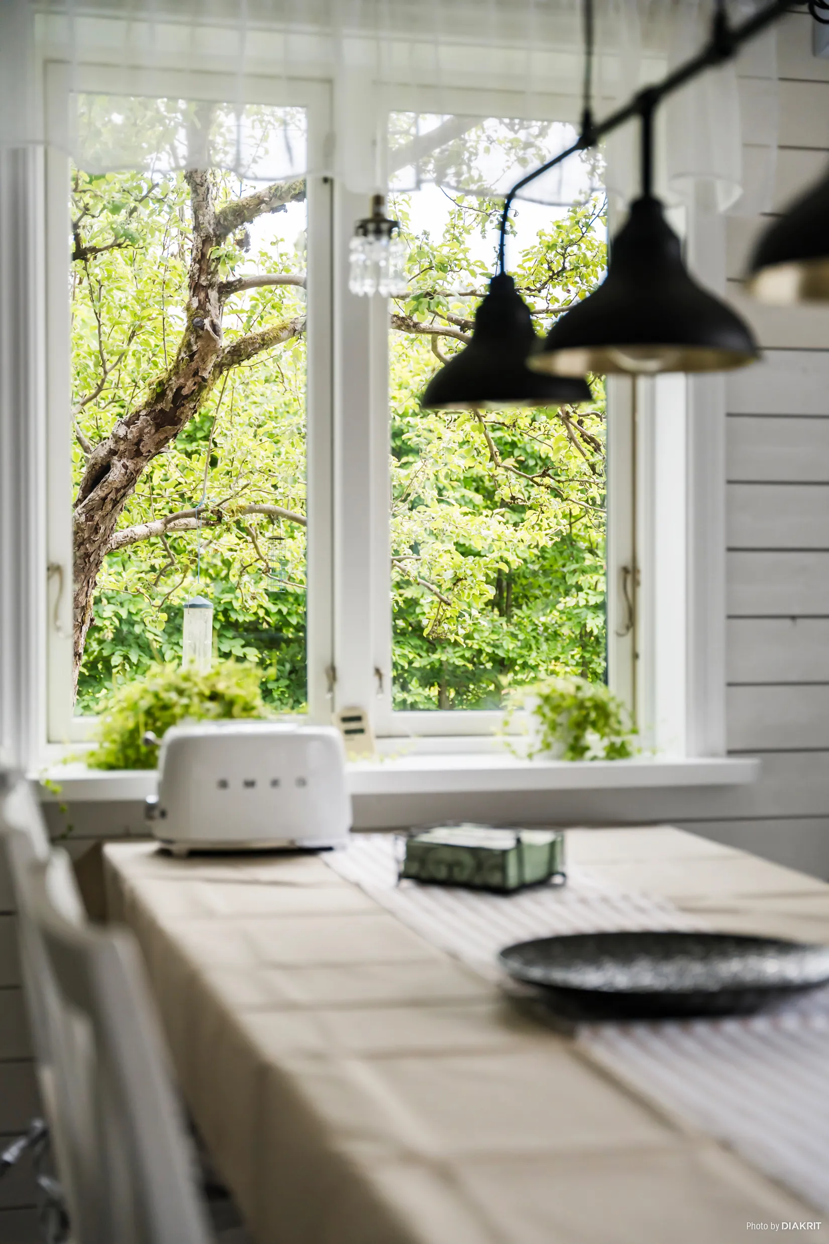 Gård/Skog, Västra Svedernavägen 3, Gräfsnäs, Alingsås