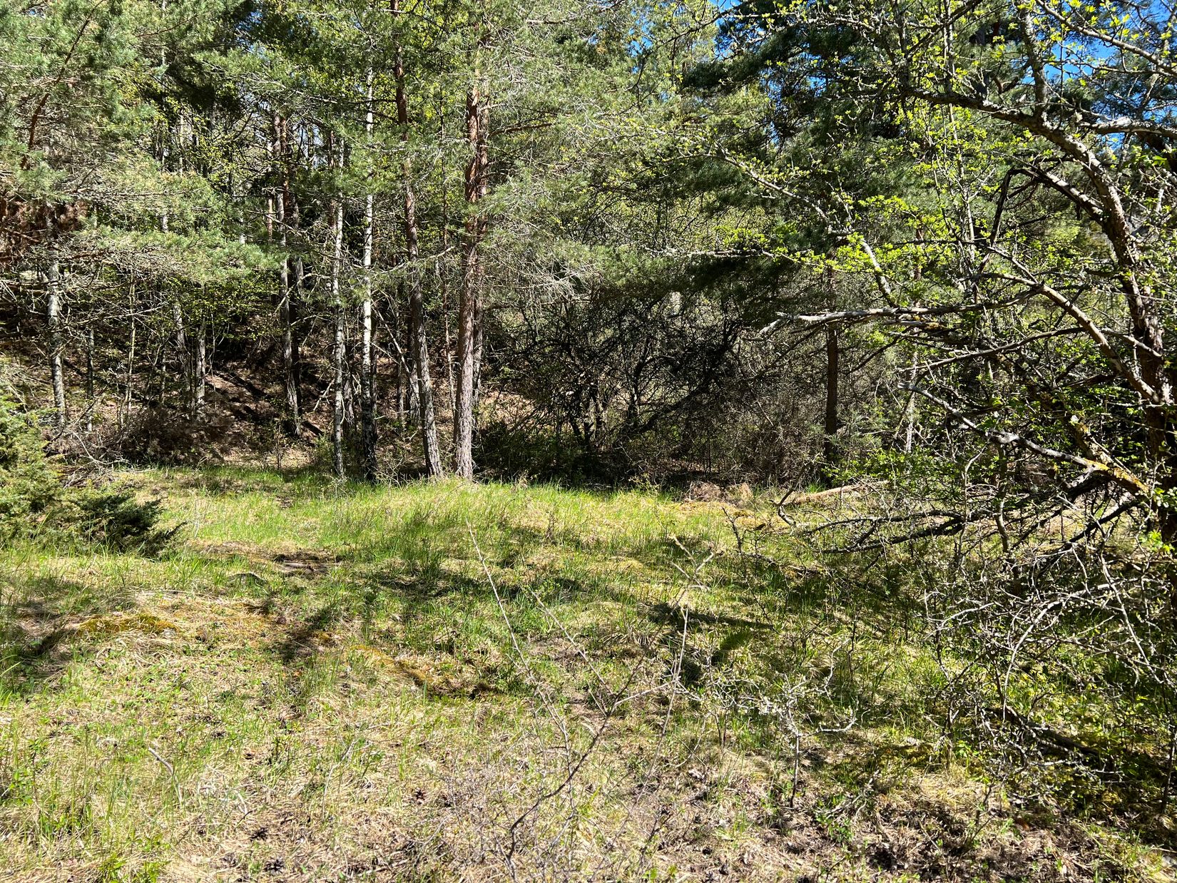 Tomt, Kungshatt Kungsborg 21, Kungshatt, Ekerö