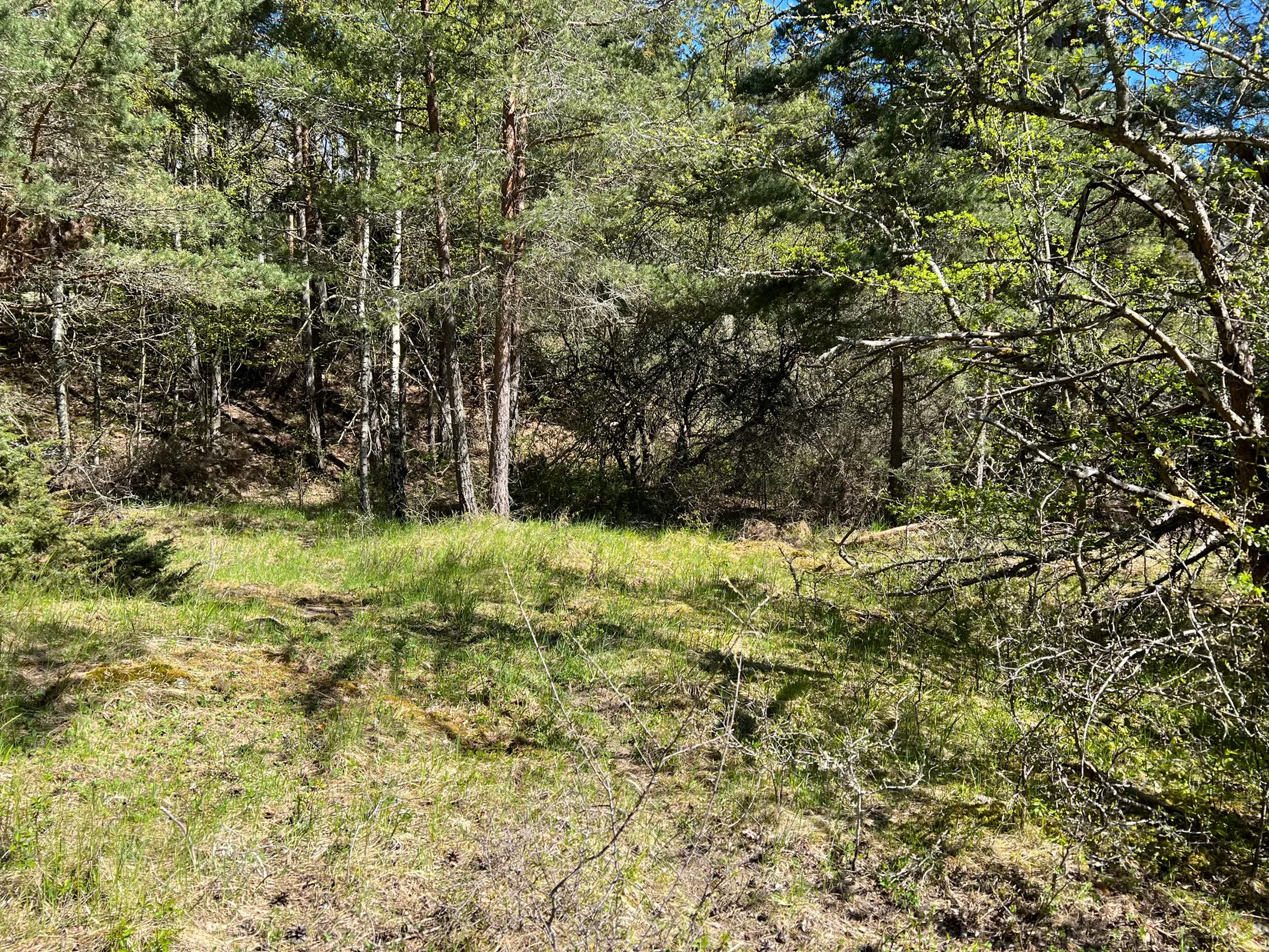 Tomt, Kungshatt Kungsborg 21, Kungshatt, Ekerö