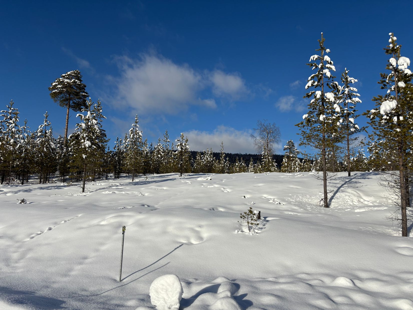 Tomt, Ariesvägen 9, Idre Himmelfjäll, Älvdalen