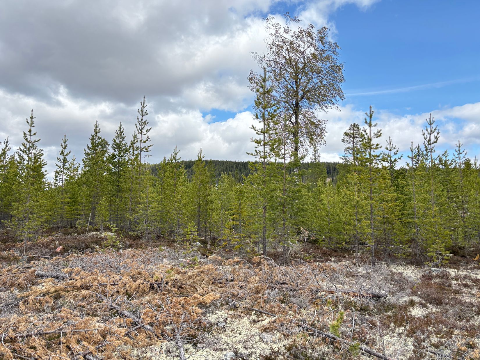 Tomt, Ariesvägen 9, Idre Himmelfjäll, Älvdalen