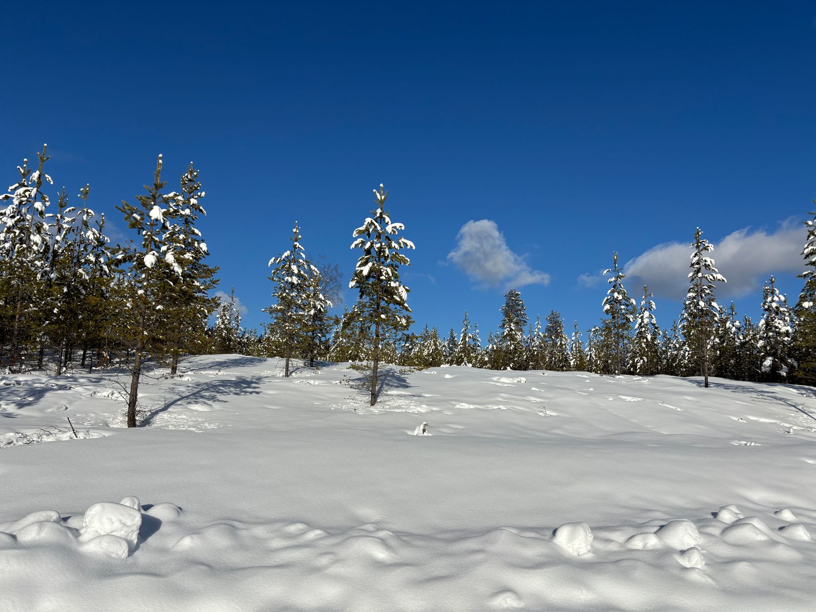Tomt, Ariesvägen 9, Idre Himmelfjäll, Älvdalen