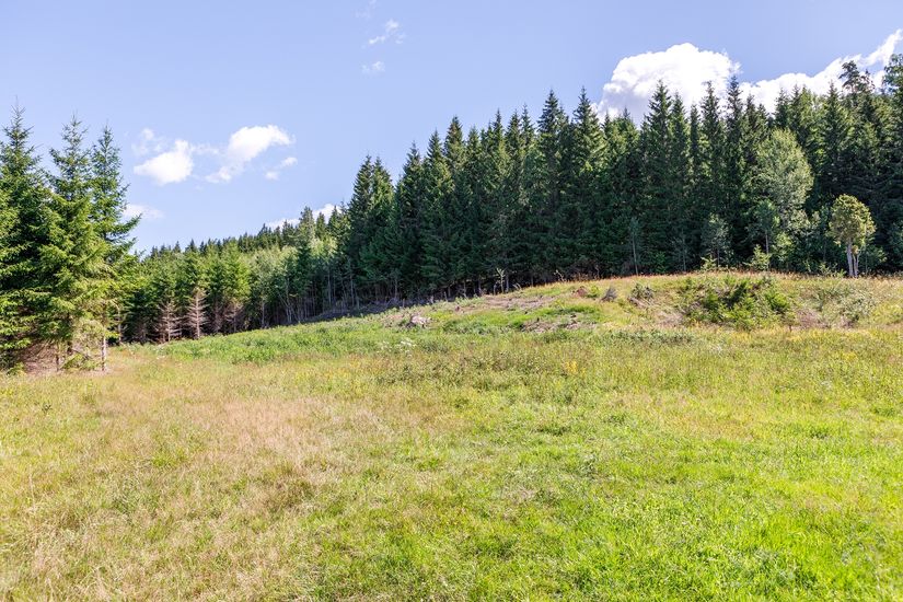 Tomt, Signesbo, Tomt A, Lekeryd - Signesbo, Jönköping