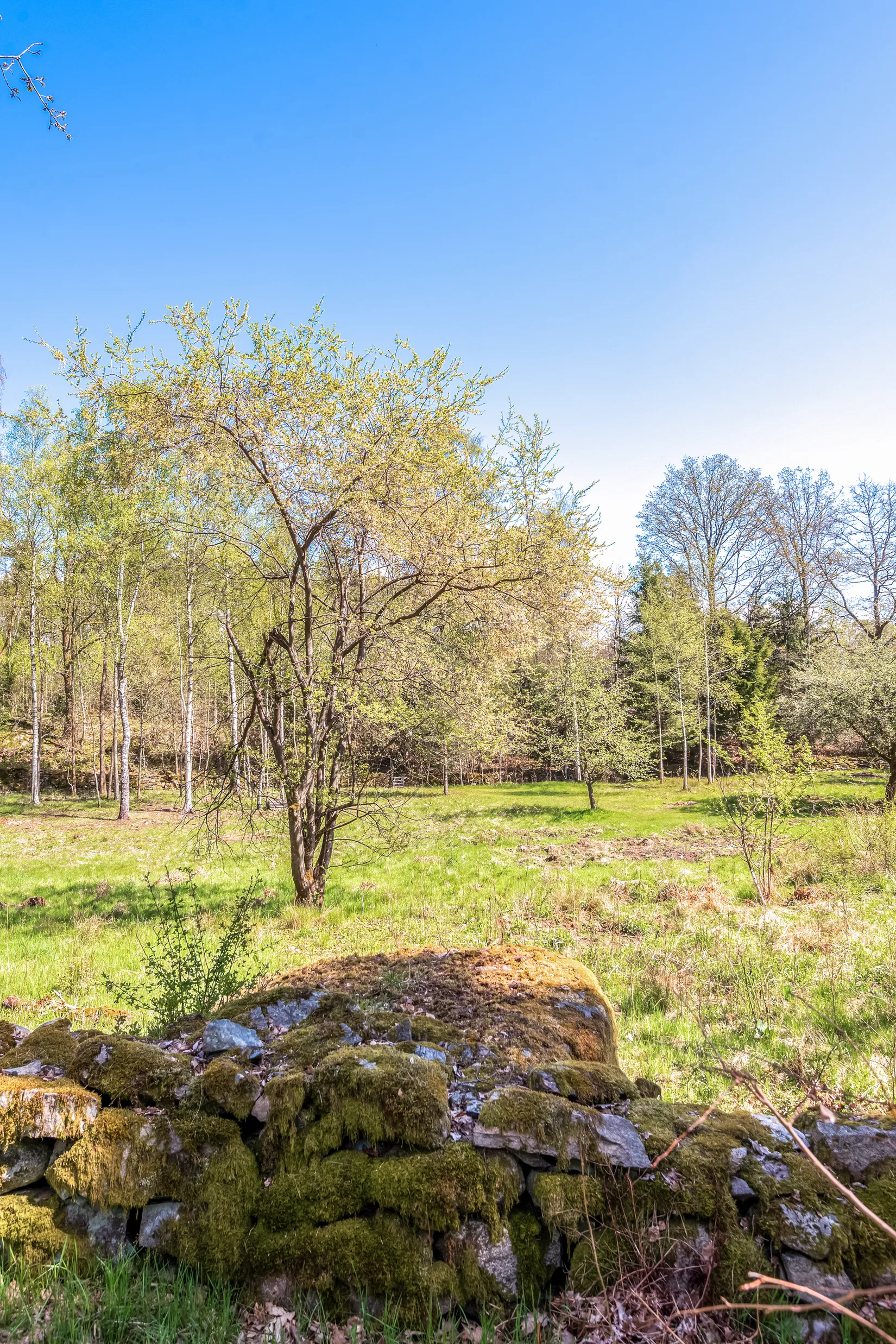 Tomt, Lenas väg, Mölnlycke - Benareby, Härryda
