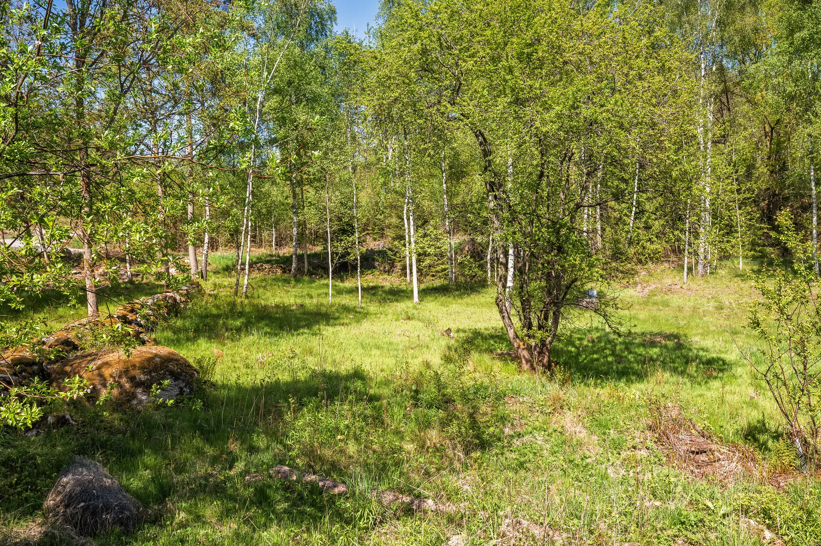 Tomt, Lenas väg, Mölnlycke - Benareby, Härryda