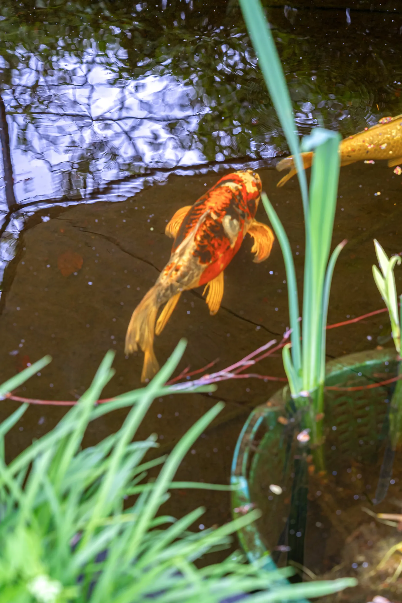 Villa, Ilnestorpsvägen 482, Tollarp, Kristianstad