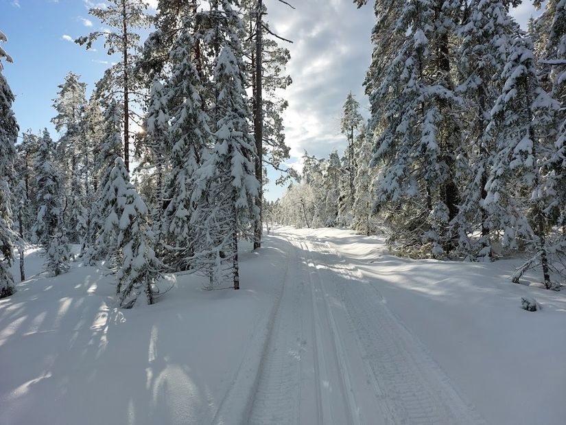 Villa, Södra Hörksvägen 61, Södra Hörken, Ludvika