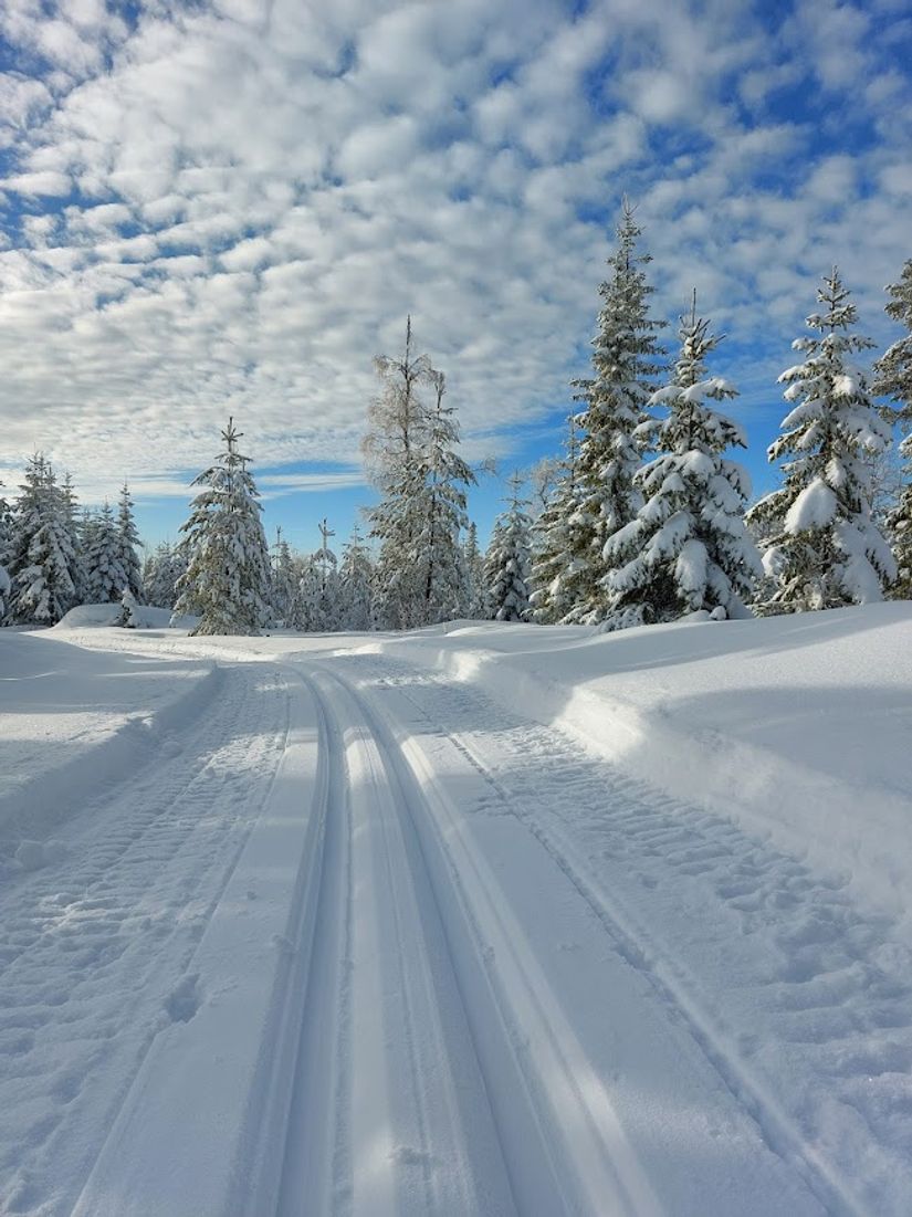 Villa, Södra Hörksvägen 61, Södra Hörken, Ludvika