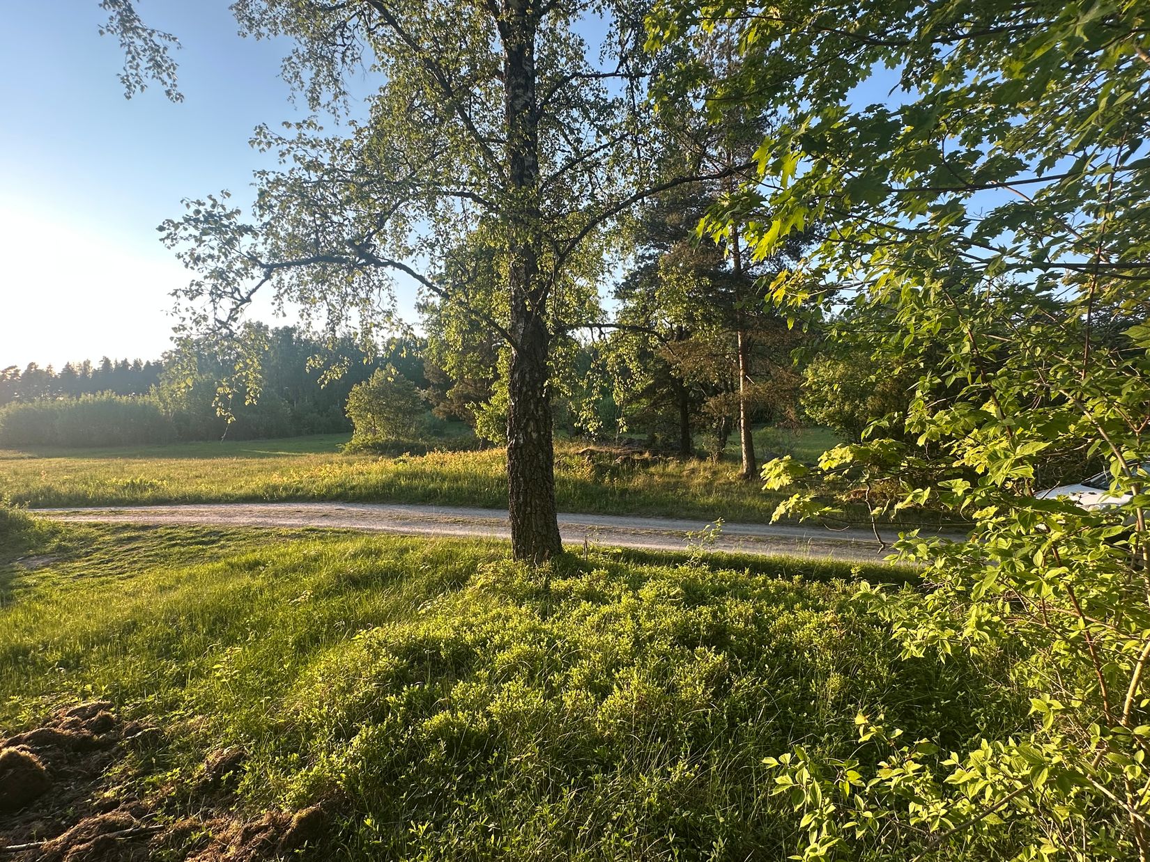 Tomt, Två prisvärda tomter i idylliska Bolby, Ljusterö – Lantligt läge med utsikt över ängarna, Österåker