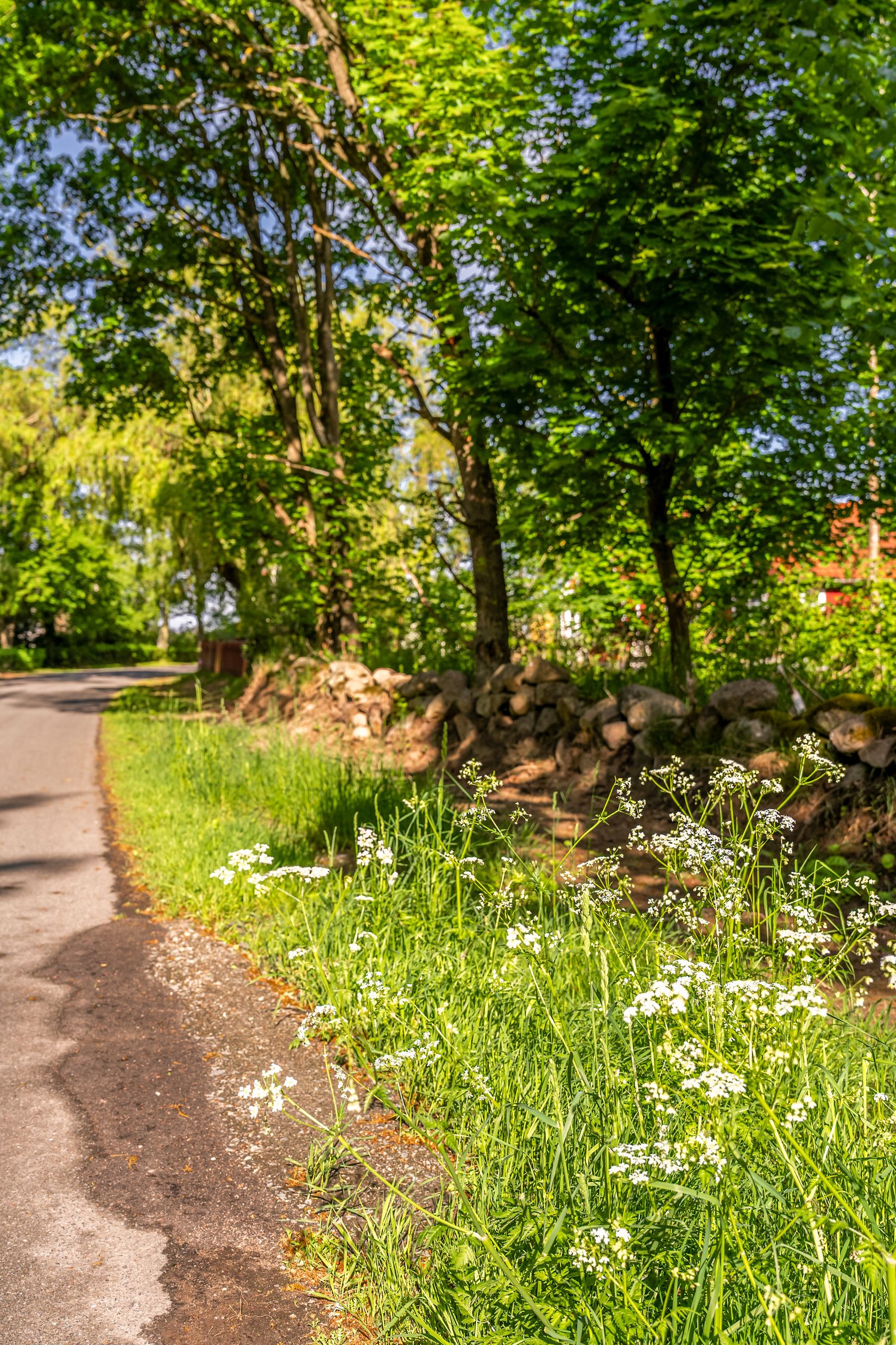Tomt, Västra bockebäcksvägen 46, Önnestad, Kristianstad