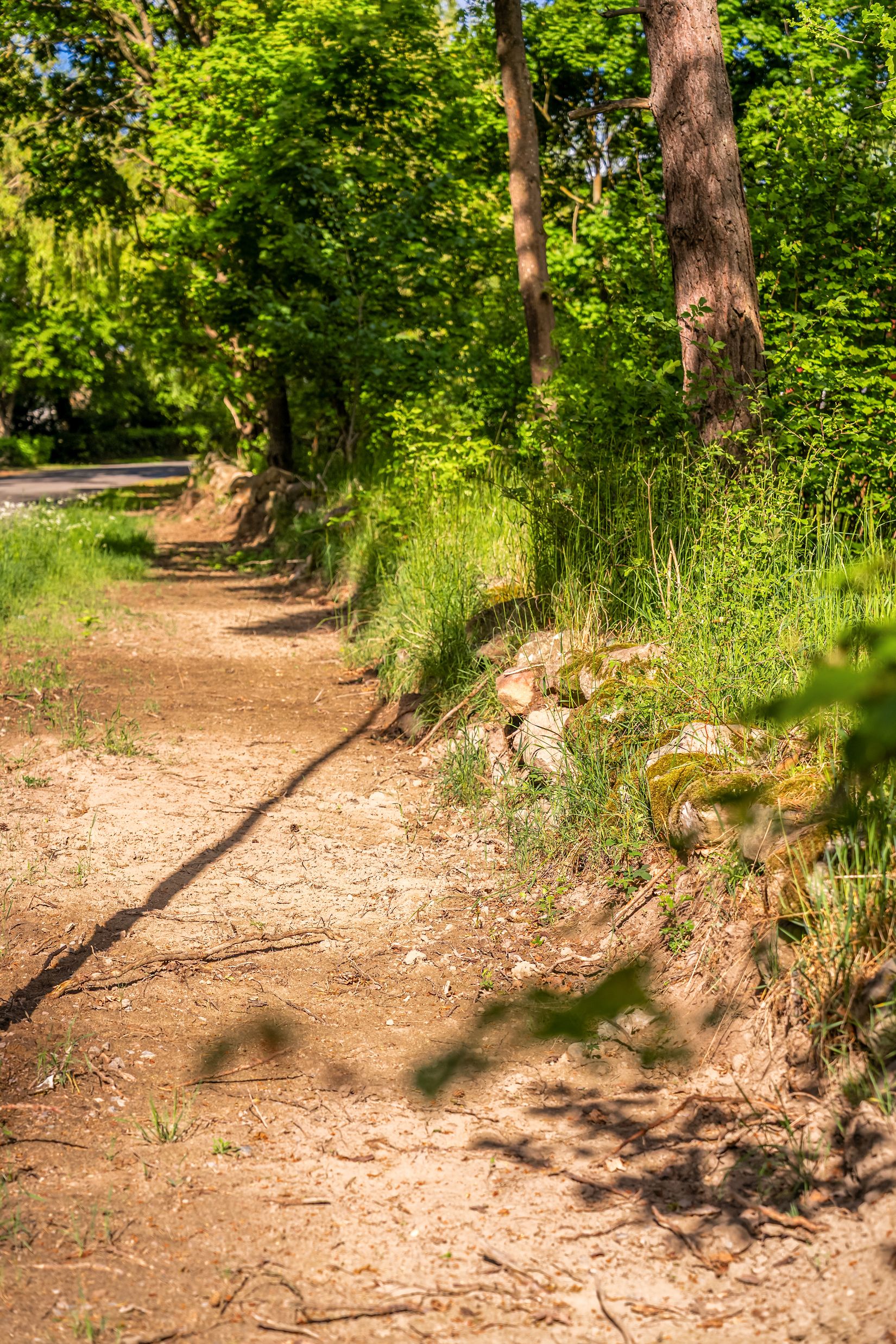 Tomt, Västra bockebäcksvägen 46, Önnestad, Kristianstad