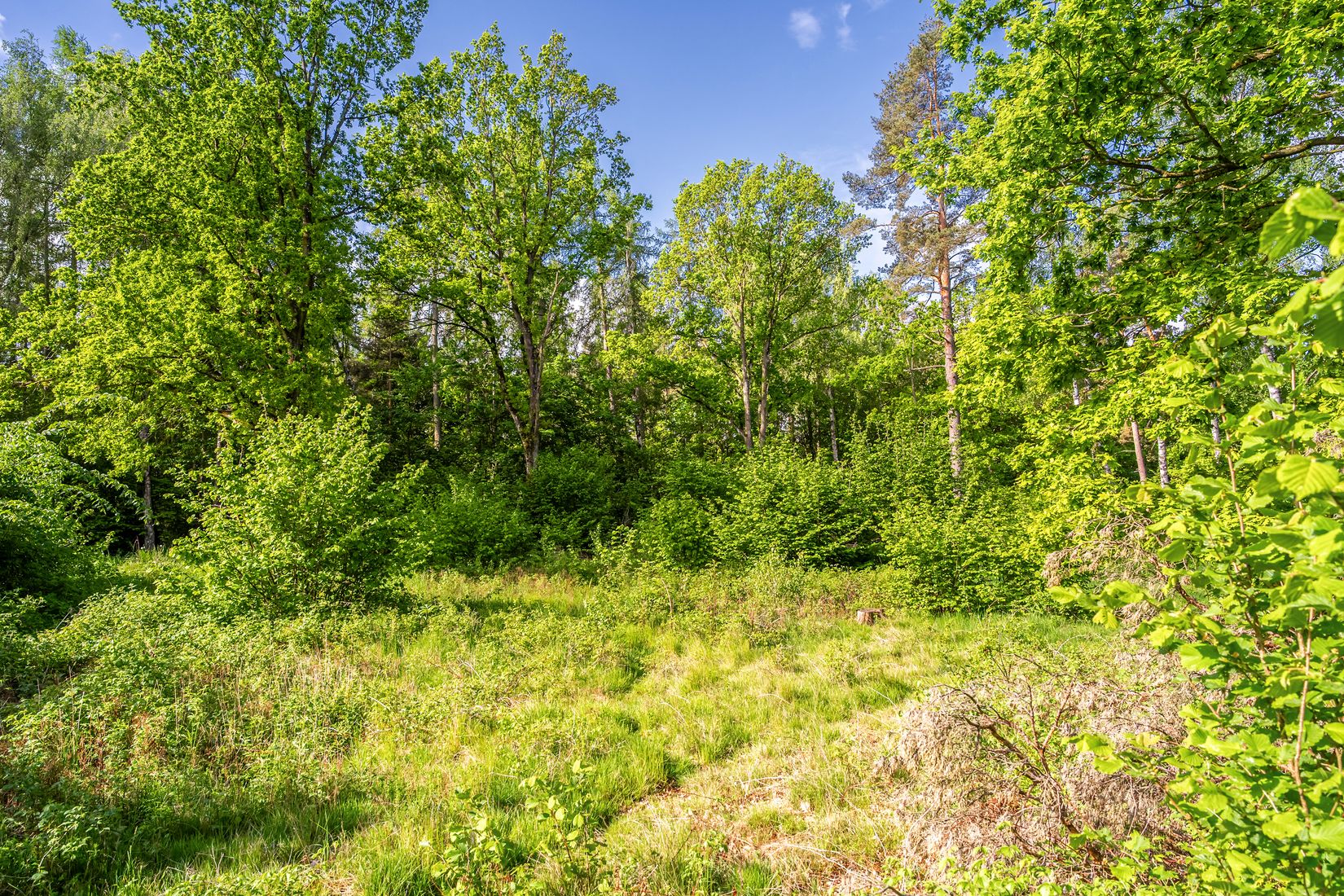 Tomt, Västra bockebäcksvägen 46, Önnestad, Kristianstad