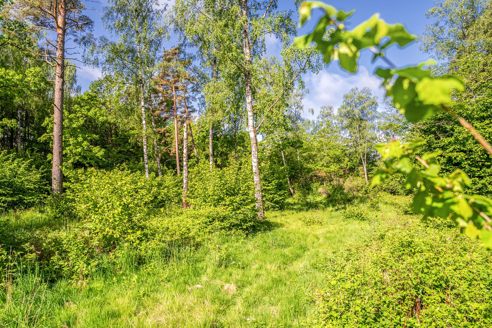 Tomt, Västra bockebäcksvägen 46, Önnestad, Kristianstad