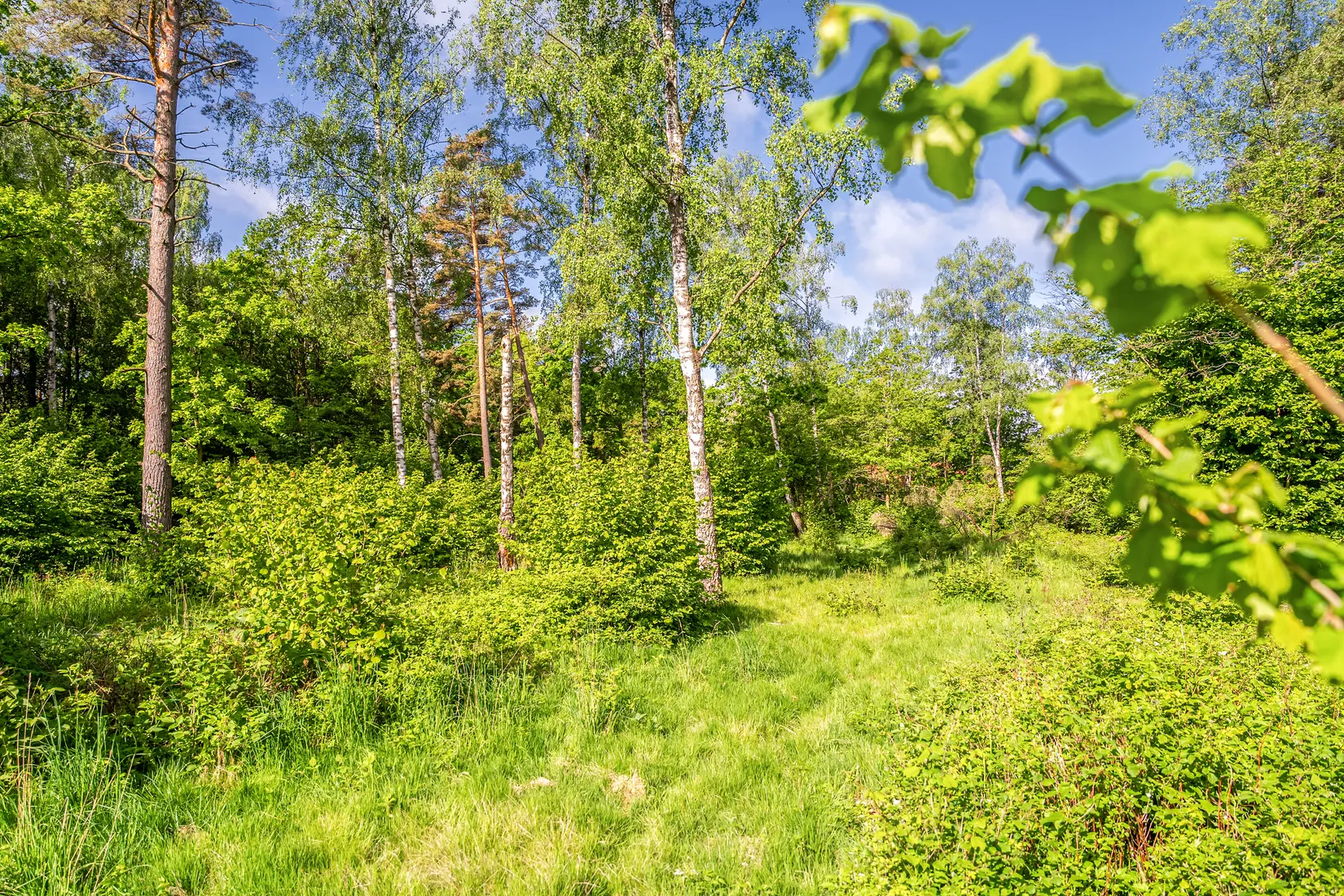 Tomt, Västra bockebäcksvägen 46, Önnestad, Kristianstad