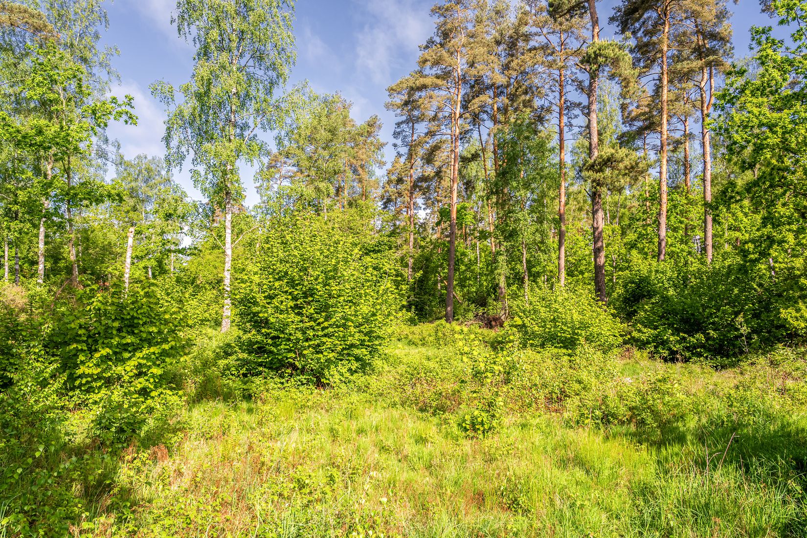 Tomt, Västra bockebäcksvägen 46, Önnestad, Kristianstad