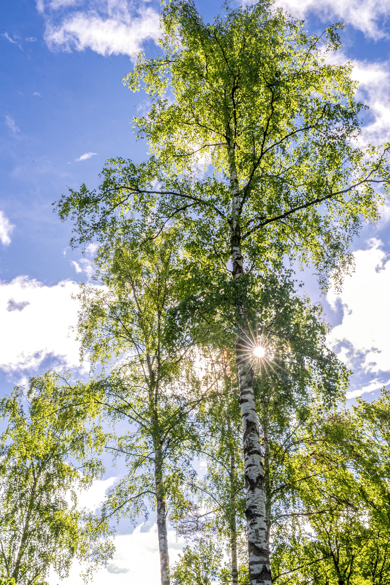 Tomt, Västra bockebäcksvägen 46, Önnestad, Kristianstad