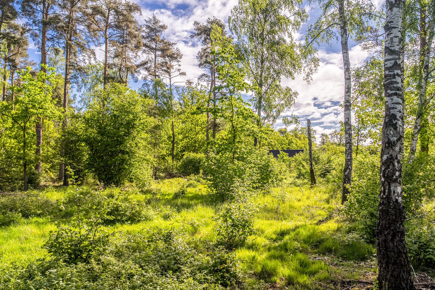 Tomt, Västra bockebäcksvägen 46, Önnestad, Kristianstad