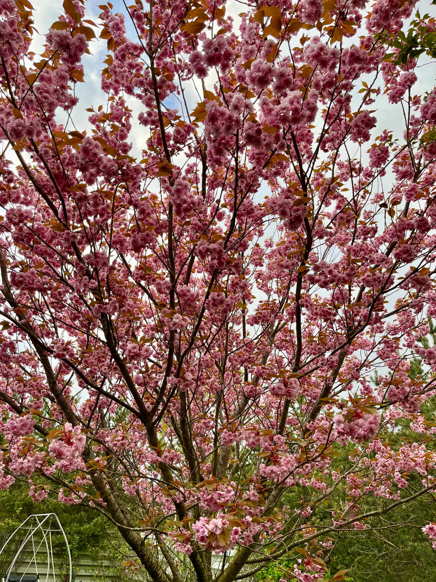 Villa, Slättnes väg 1, Nyehusen, Kristianstad