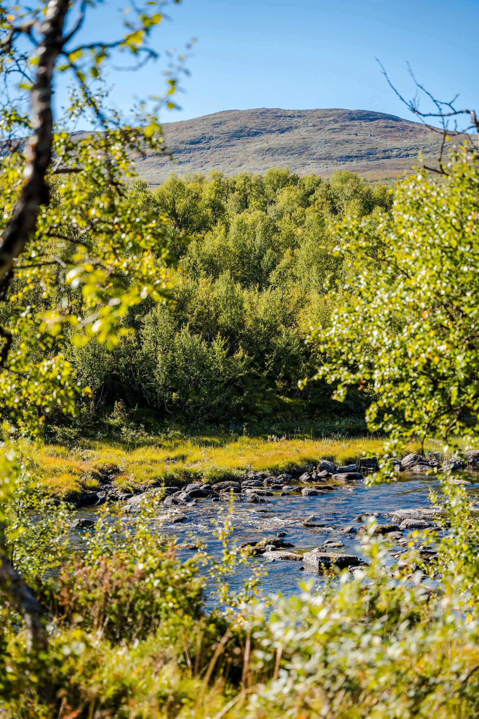 Tomt, Östra Malmagen 700, Fjällnäs, Härjedalen