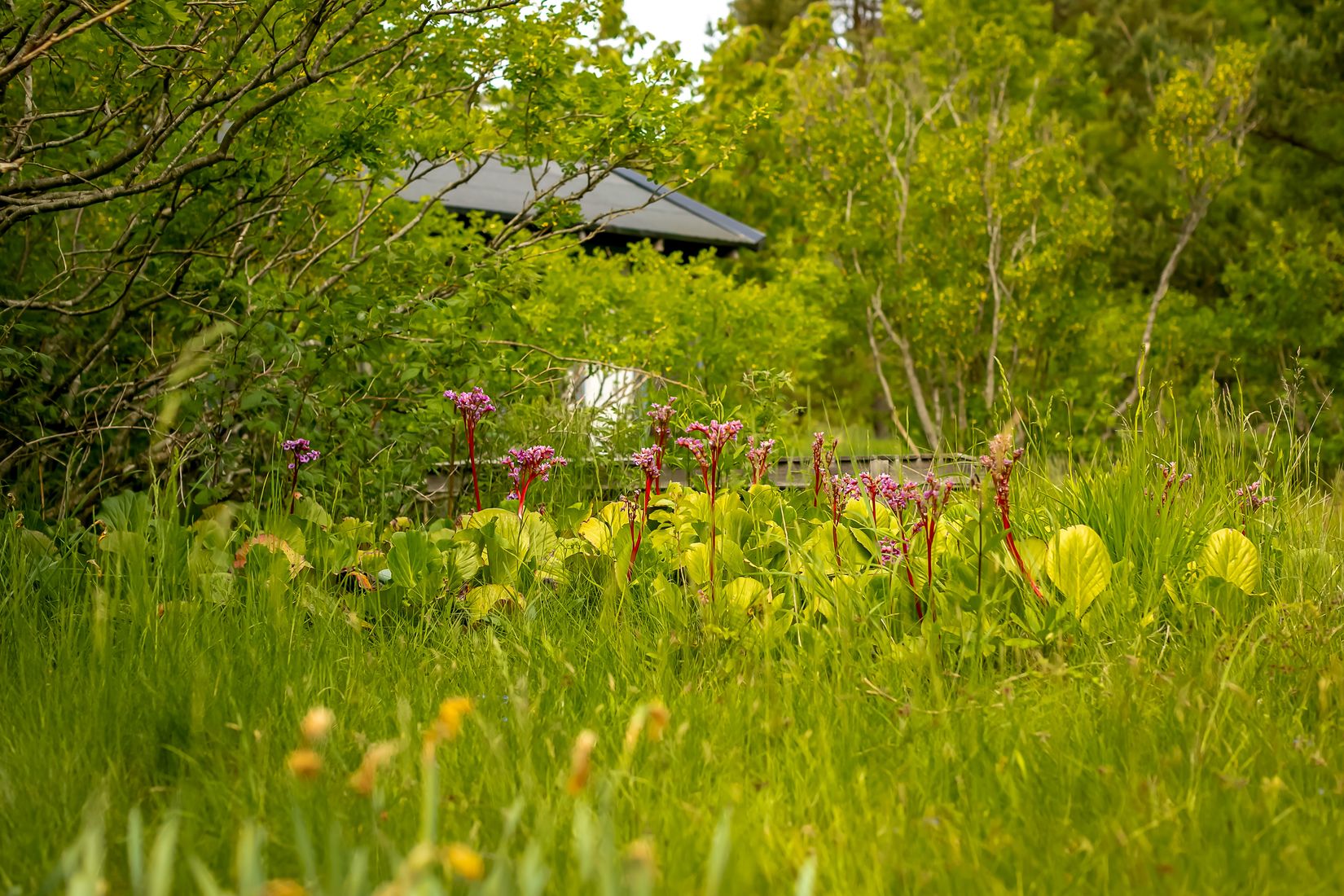 Fritidshus, Älgholmen 7, Haninge