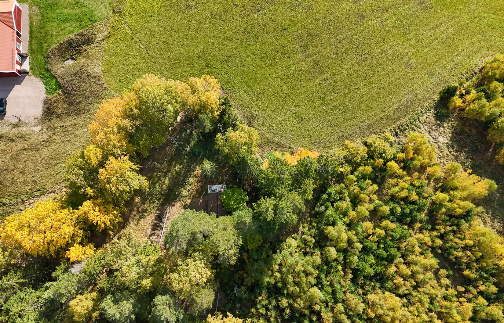 Gård/Skog, Bogsta Hässelby 2, Tystberga, Nyköping
