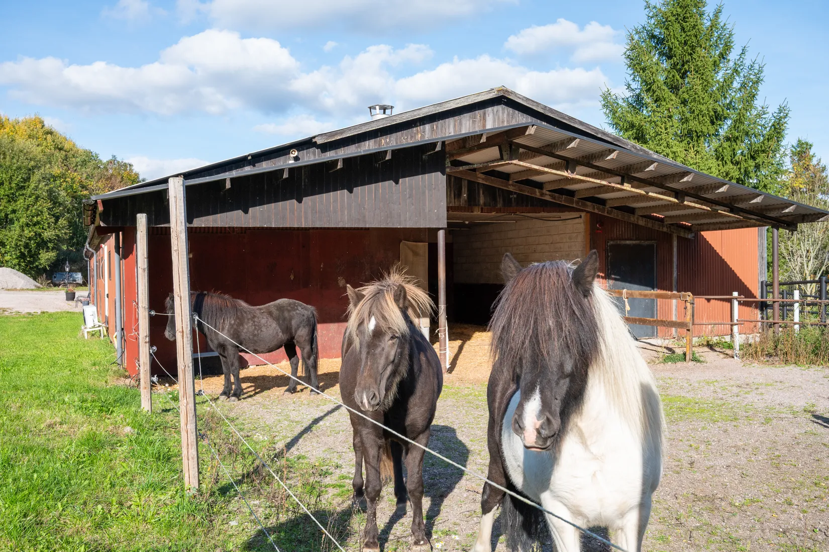 Gård/Skog, Bogsta Hässelby 2, Tystberga, Nyköping
