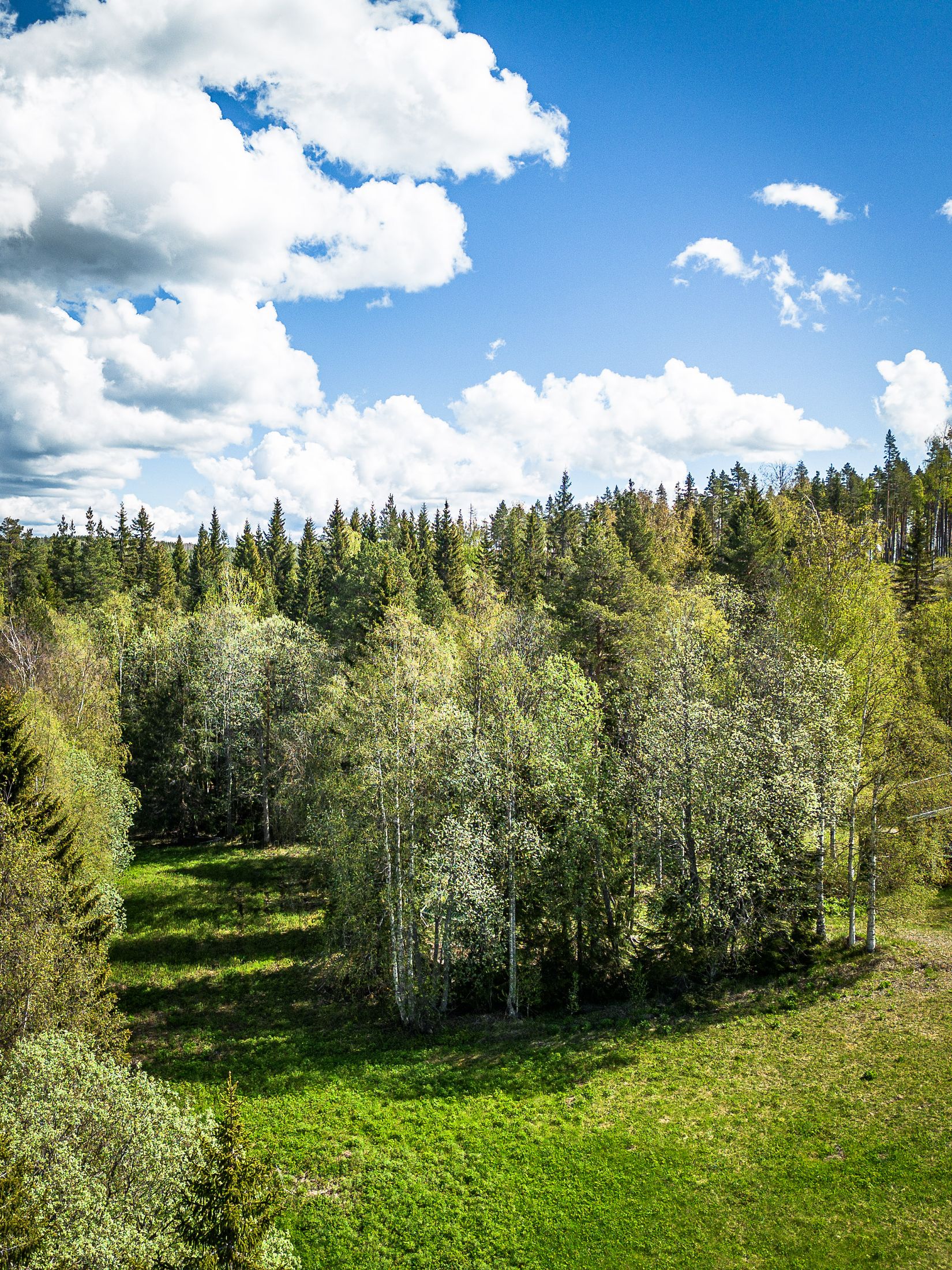 Tomt, Svänglingen 119, Östersund