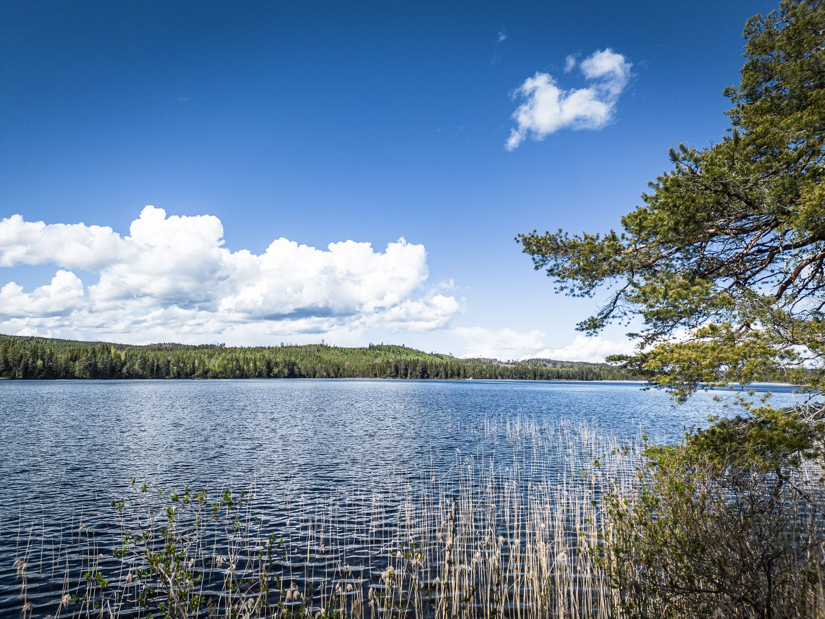 Tomt, Svänglingen 119, Östersund