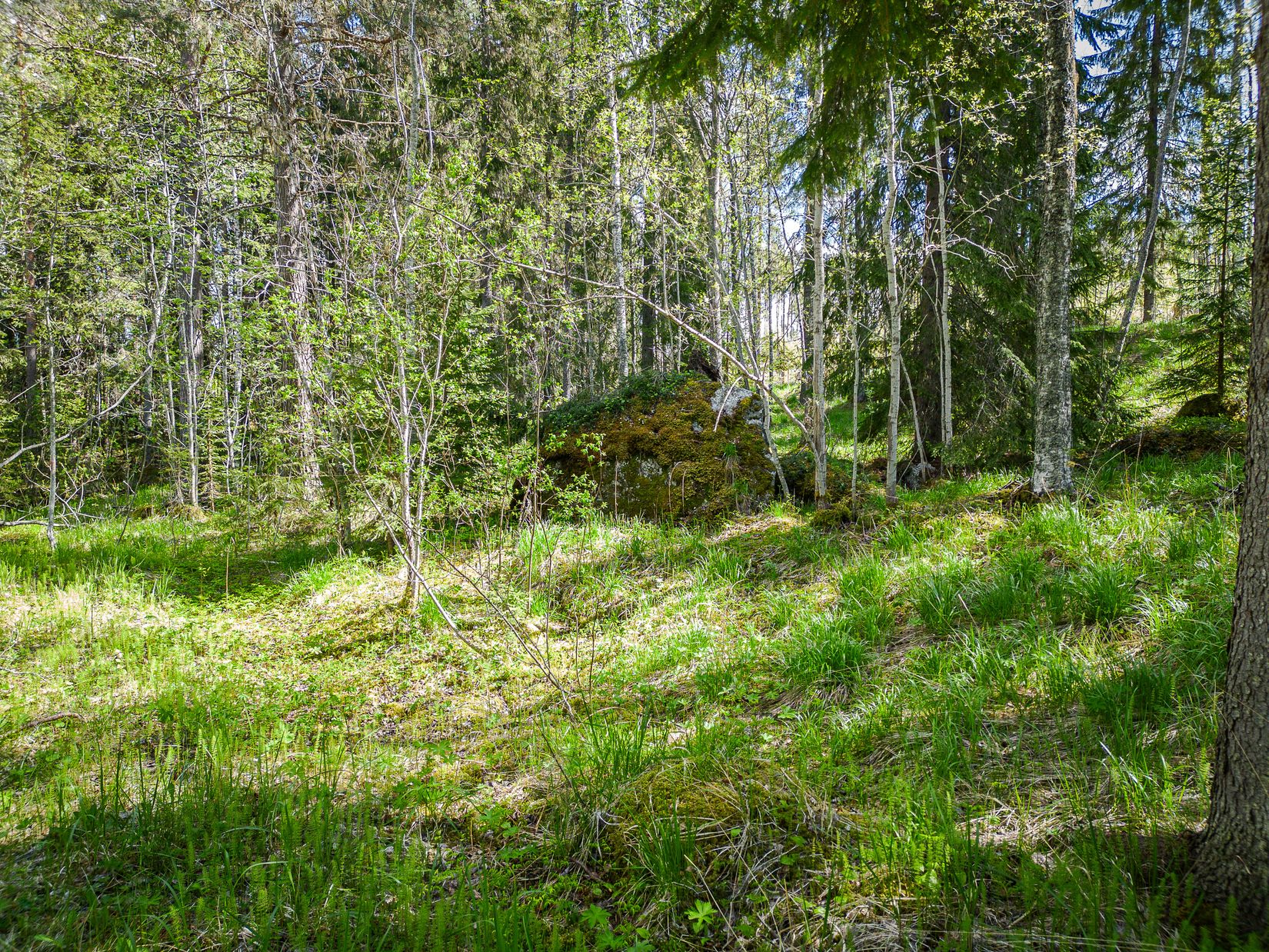 Tomt, Svänglingen 119, Östersund