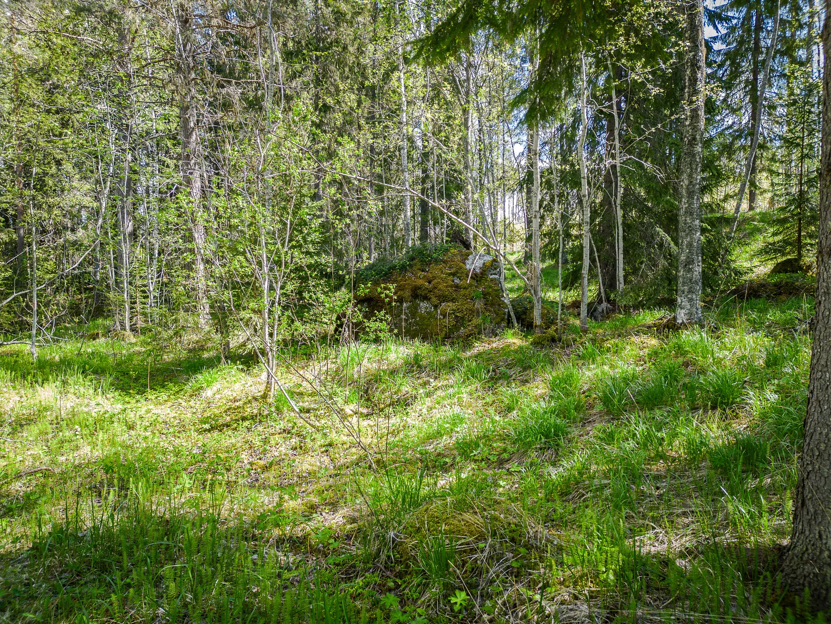 Tomt, Svänglingen 119, Östersund
