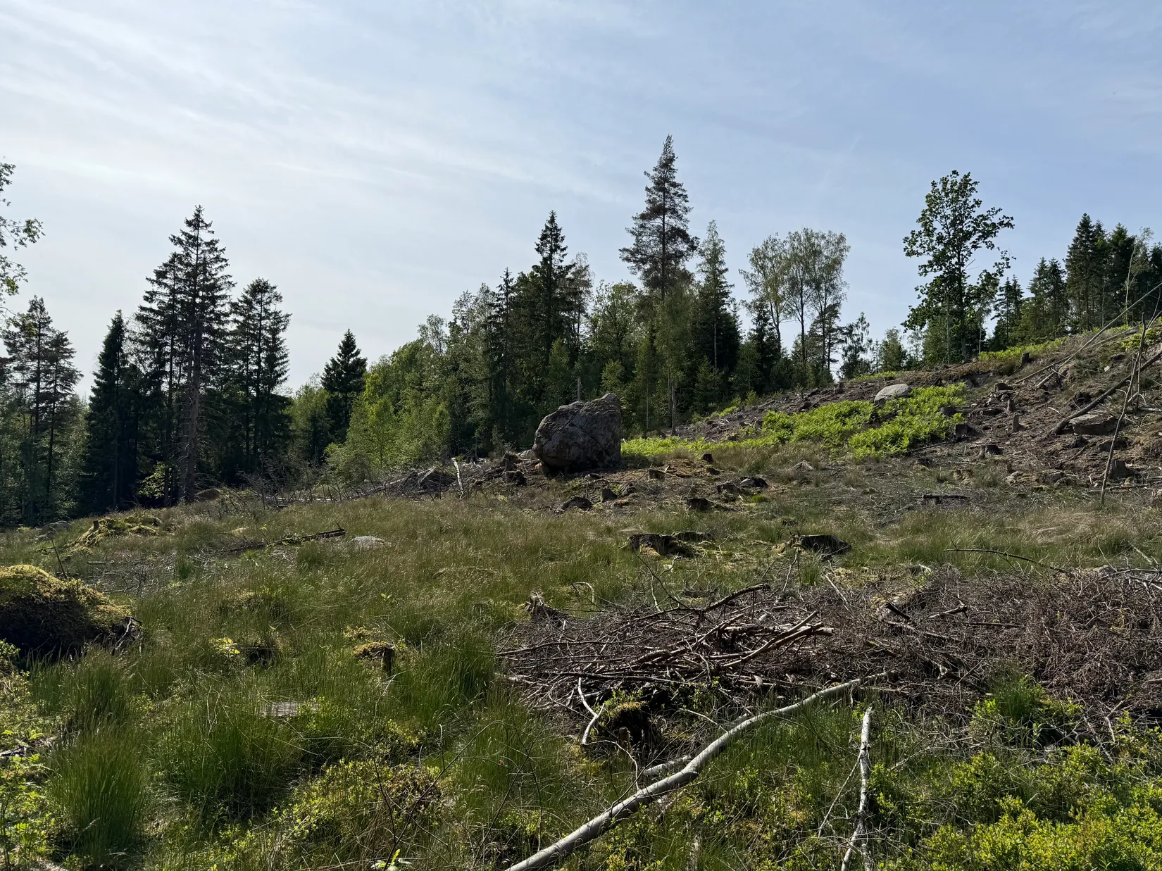 Gård/Skog, Bergagårdsvägen 22, Alingsås