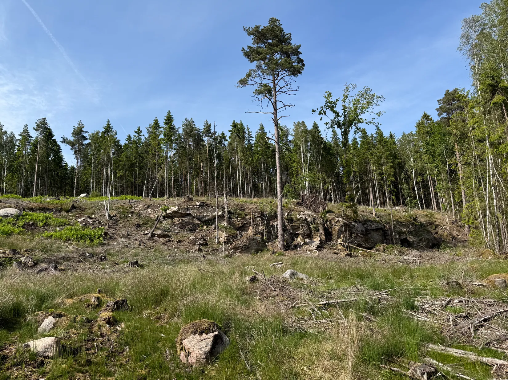 Gård/Skog, Bergagårdsvägen 22, Alingsås