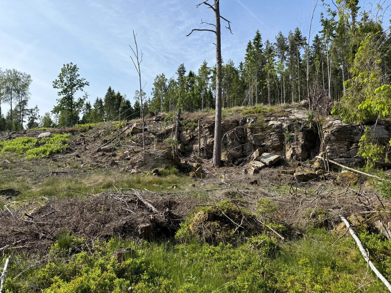 Gård/Skog, Bergagårdsvägen 22, Alingsås