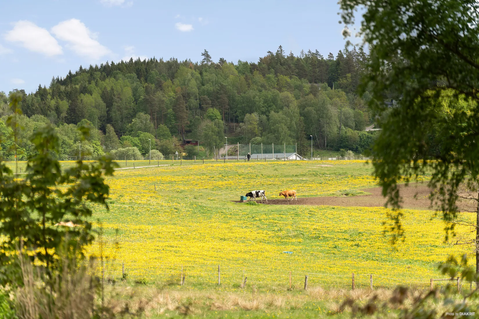 Gård/Skog, Bergagårdsvägen 22, Alingsås