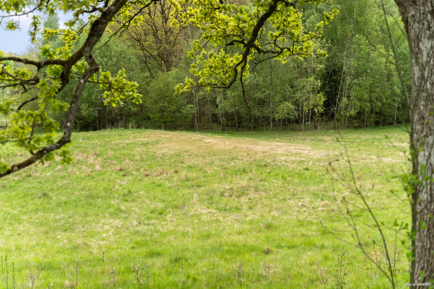 Gård/Skog, Bergagårdsvägen 22, Alingsås