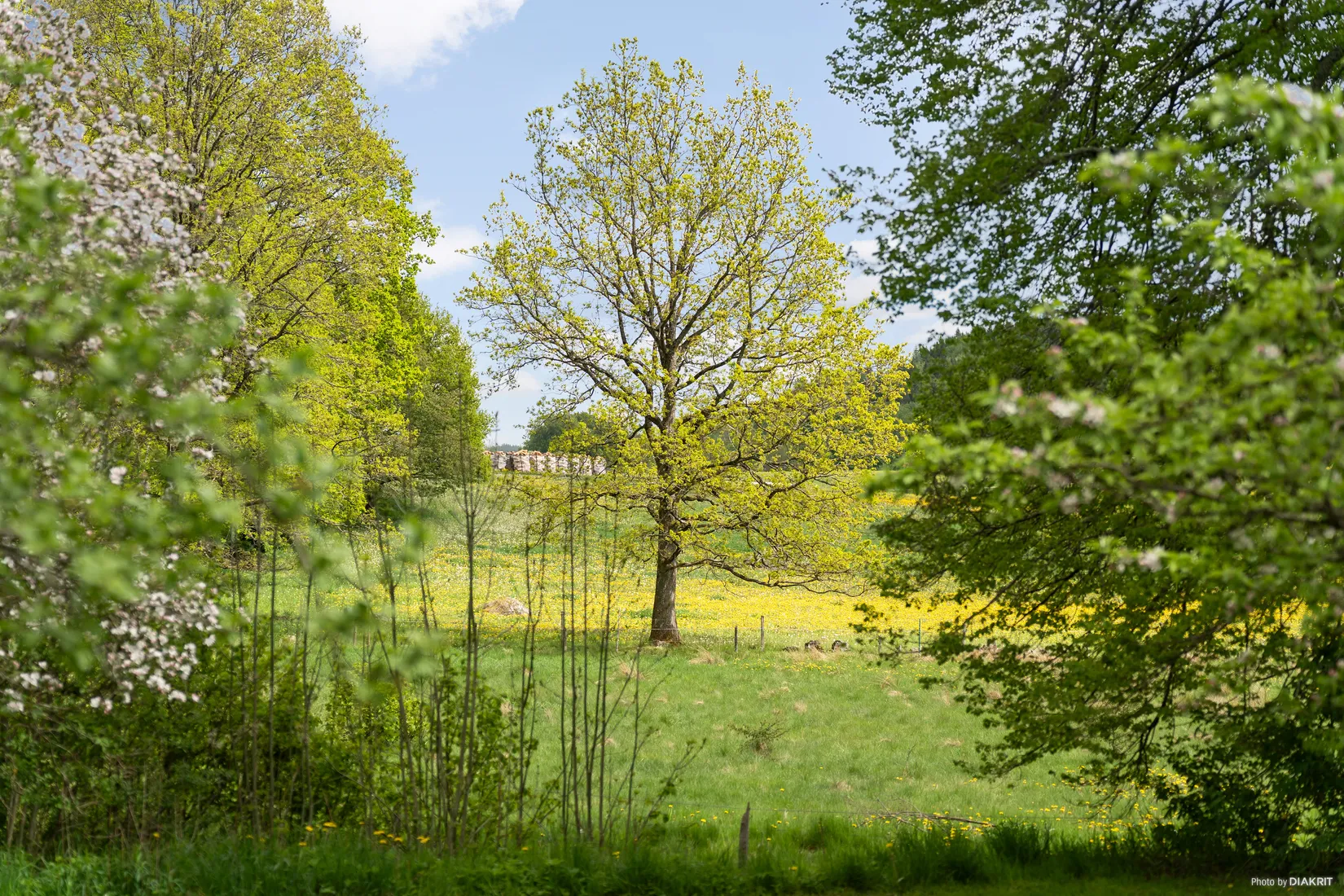 Gård/Skog, Bergagårdsvägen 22, Alingsås