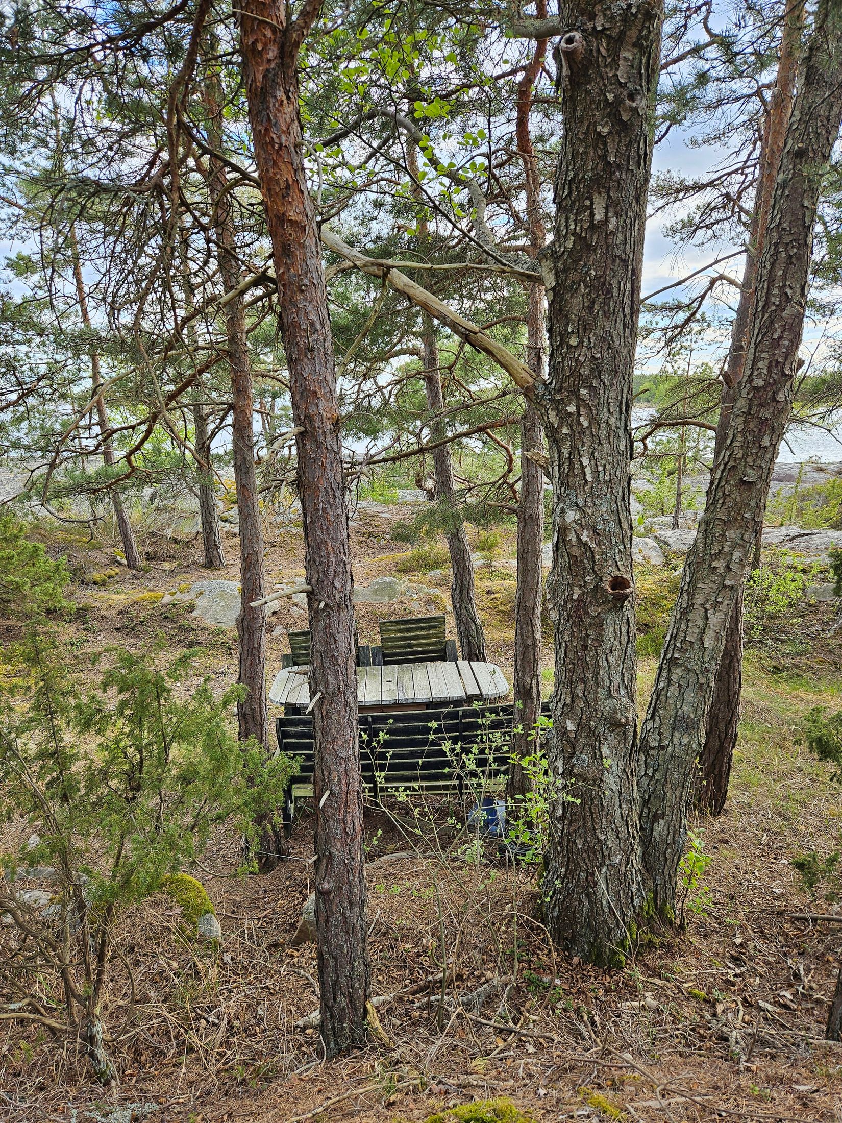 Gård/Skog, HAMMARÖ ÖSTRA TAKENE 1:7, Bena, Hammarö