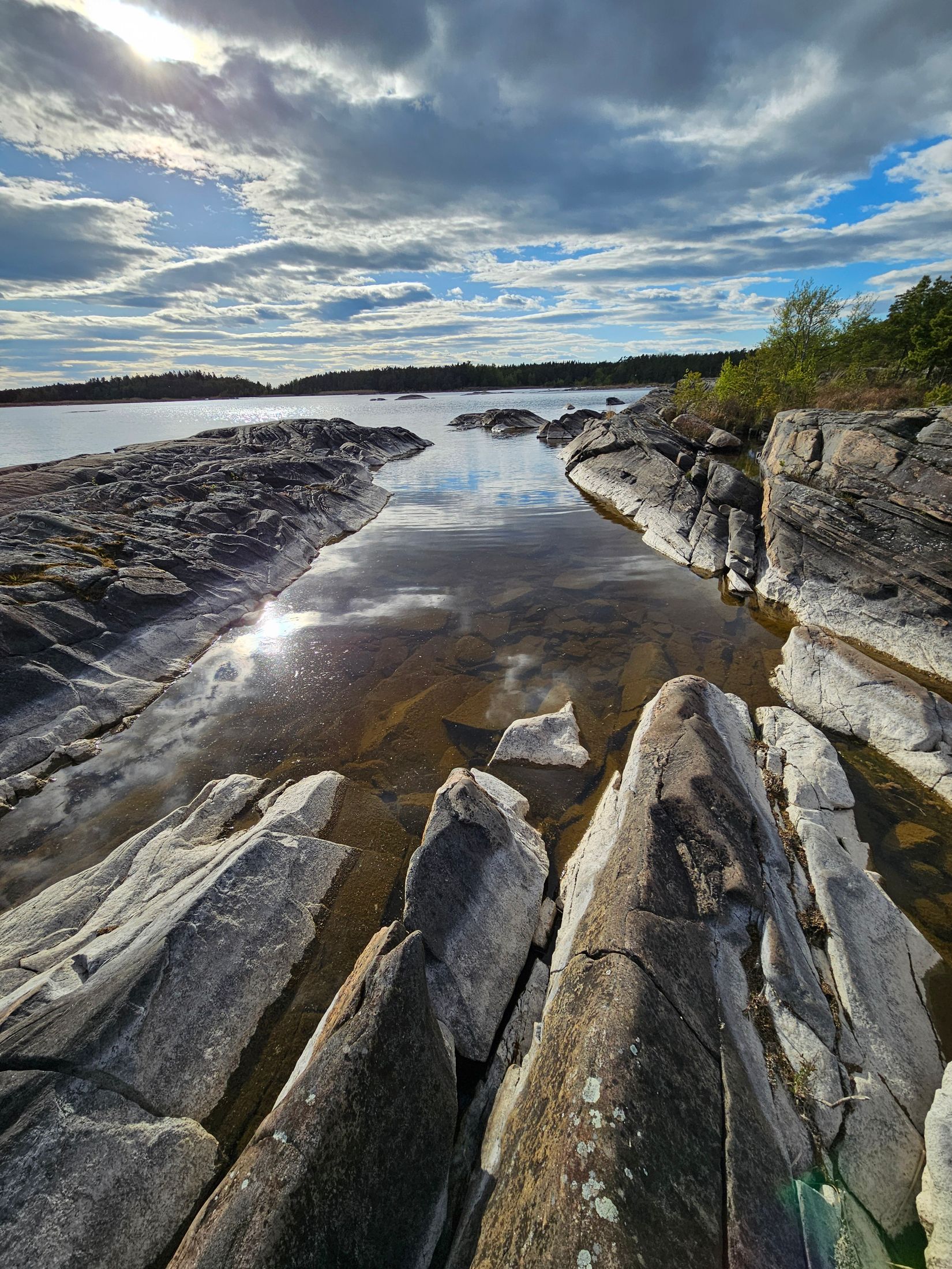 Gård/Skog, HAMMARÖ ÖSTRA TAKENE 1:7, Bena, Hammarö